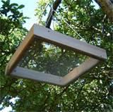 Images of Bird Feeder Tray