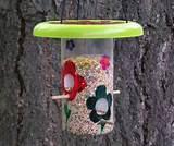 Best Bird Feeders Pictures