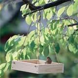 Bird Feeder Tray Photos