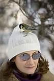 Pictures of Feed Wild Birds Pictures of Feed Wild Birds