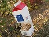 Best Bird Feeders Pictures Best Bird Feeders Pictures