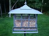 Pictures of Squirrel Proof Bird Feeder Pictures of Squirrel Proof Bird Feeder