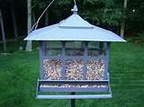 Pictures of Squirrel Proof Bird Feeder