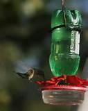 Photos of Bird Feeders For Kids To Make Photos of Bird Feeders For Kids To Make