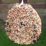 Bird Feeder Tray Images