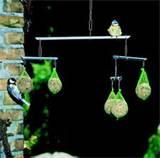 Pictures of Best Bird Feeders