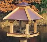 Images of Build Bird Feeders Images of Build Bird Feeders