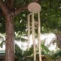 Photos of Bird Feeders For Kids To Make Photos of Bird Feeders For Kids To Make
