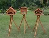 Best Bird Feeders Pictures Best Bird Feeders Pictures