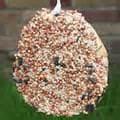Photos of Bird Feeder Tray Photos of Bird Feeder Tray