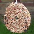 Photos of Bird Feeder Tray