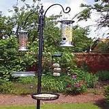 Images of Bird Feeding Station