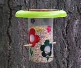 Bird Feeders For Kids To Make Pictures