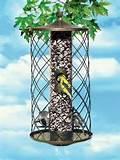 Squirrel Proof Bird Feeder Squirrel Proof Bird Feeder
