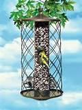 Squirrel Proof Bird Feeder