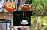 Bird Feeders For Kids To Make Bird Feeders For Kids To Make