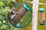 Squirrel Proof Bird Feeder Pictures