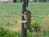 Photos of Easy To Make Bird Feeders