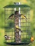 Photos of Best Bird Feeders