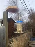 Pictures of Easy To Make Bird Feeders