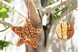 Bird Feeders For Kids To Make Images Bird Feeders For Kids To Make Images