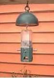 Pictures of Squirrel Proof Bird Feeder