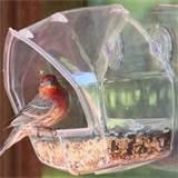 Best Bird Feeders Images Best Bird Feeders Images