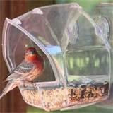 Best Bird Feeders Images