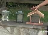 Types Of Bird Feeders Images Types Of Bird Feeders Images
