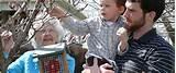 Types Of Bird Feeders Photos Types Of Bird Feeders Photos
