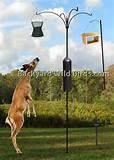 Bird Feeder Pole Pictures Bird Feeder Pole Pictures