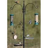 Bird Feeder Pole Images