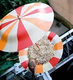 How To Build Bird Feeders Photos How To Build Bird Feeders Photos