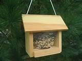 Photos of How To Build Bird Feeders Photos of How To Build Bird Feeders