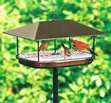 Types Of Bird Feeders Photos