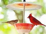 Pictures of How To Make Bird Feeders