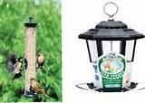 Types Of Bird Feeders Pictures