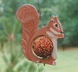 Pictures of Bird Feeder Patterns Pictures of Bird Feeder Patterns