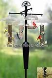 Bird Feeder Pole Images