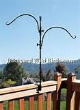 Bird Feeder Pole Pictures Bird Feeder Pole Pictures