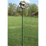 Photos of Bird Feeder Pole Photos of Bird Feeder Pole