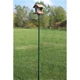 Photos of Bird Feeder Pole