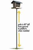 Pictures of Bird Feeder Pole Pictures of Bird Feeder Pole