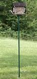 Pictures of Bird Feeder Pole