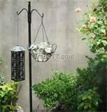 Images of Bird Feeder Pole