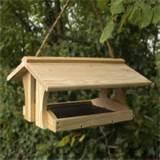 Images of How To Build Bird Feeders Images of How To Build Bird Feeders