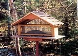 How To Build Bird Feeders How To Build Bird Feeders
