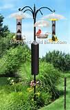 Bird Feeder Pole Images