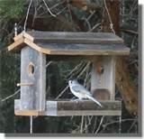 Building Bird Feeders