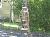 Images of Bird Feeders Squirrel